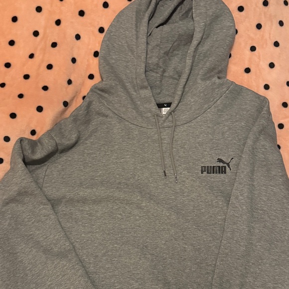 PUMA Men's Charcoal Hoodie - Picture 1 of 2